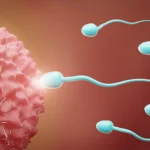 low-sperm-count.webp